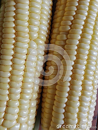 Freshly peeled corn whole peel corn Stock Photo