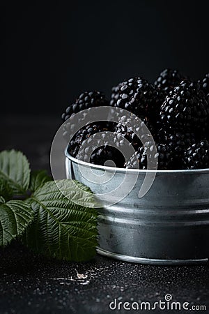 Freshly picked blackberries in a metal bowl with a green leaves on the black moody background Stock Photo