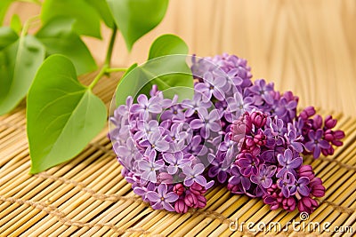 freshly picked lilac cluster on a bamboo door mat Stock Photo