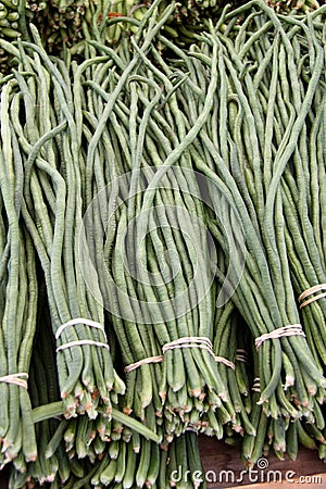 Freshly picked long green beans Stock Photo