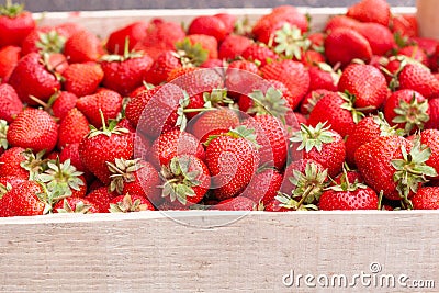 Freshly picked Strawberry in a wooden box. Sweet natural fruits in wooden crate Stock Photo