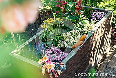 Freshly planted planter with gardening tools. Planter ideas. Gardening concept. Stock Photo