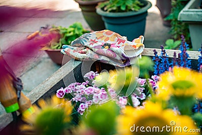 Freshly planted planter with gardening tools. Hobbies and leisure. Summer gardening. Stock Photo