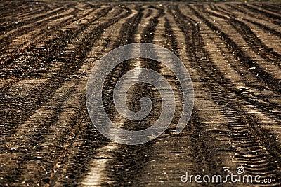 Freshly plowed spring field for planting vegetable seeds Stock Photo