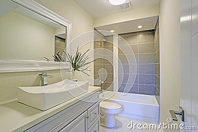 Freshly renovated bathroom features shower tub combo Stock Photo