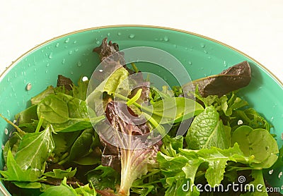 Freshly rinsed mixed greens for making salad Stock Photo