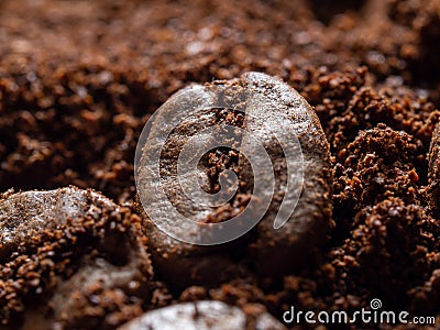 Freshly roasted coffee beans. Macro photos Stock Photo