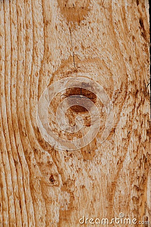 Freshly sawed wood Stock Photo