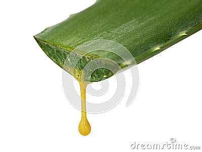 freshly sliced aloe vera leaf with yellow aloin drop isolated on white background, aloin or barbaloin for medicinal use Stock Photo