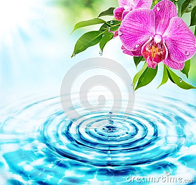 Freshness concept Stock Photo