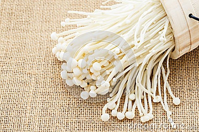 Freshness Enoki mushroom. Stock Photo