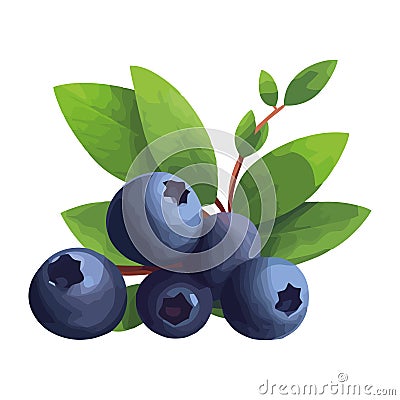 Freshness of nature bounty ripe, juicy blueberry Vector Illustration