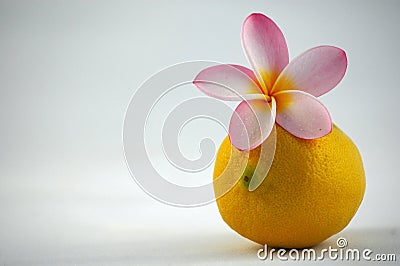 Freshness in spring Stock Photo