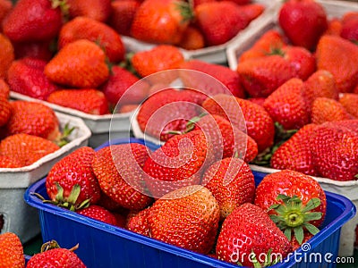 freshness strawberry fruits Stock Photo