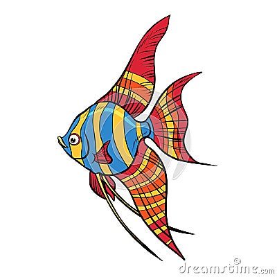Freshwater angelfish aquarium fish Vector Illustration