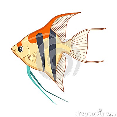 Freshwater angelfish fish on a white background Vector Illustration