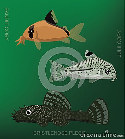 Freshwater Cory Catfish Set Cartoon Vector Illustration Vector Illustration