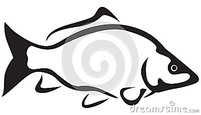 Freshwater fish Vector Illustration