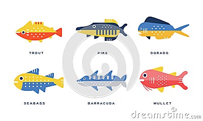 Freshwater and Saltwater Fish as Seafood Depicted in Flat Style Vector Set Vector Illustration