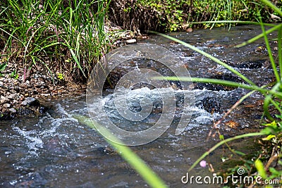 Freshwater spring in green grass. Summer landscape photo. Relaxing natural view of clean river stream waterfall Stock Photo