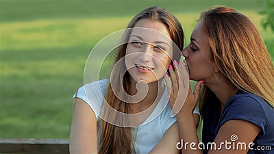 Freundinnen, die auf einer Parkbank sitzen stock footage Freundinnen, die auf einer Parkbank sitzen stock footage