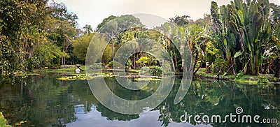 Friar Leandro Lake at Jardim Botanico Botanical Garden - Rio de Janeiro, Brazil Editorial Stock Photo
