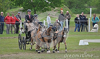 From Friday, April 28 to Sunday, April 30, an international driving competition takes place in Sélestat (Bas-Rhin). Editorial Stock Photo