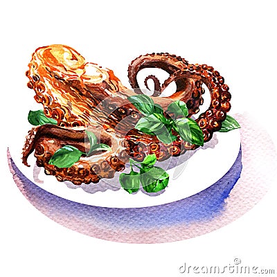 Fried appetizer octopus or squid, calamari with green basil leaves on plate, seafood, isolated, hand drawn watercolor Cartoon Illustration