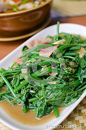 Fried bitter gourd leaf with oyster sauce Stock Photo