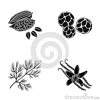 Fried cacao beans, dill, black pepper, vanilla.Herbs and spices set collection icons in black style vector symbol stock Vector Illustration