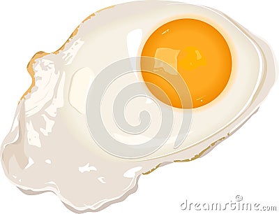 Fried eggs Vector Illustration