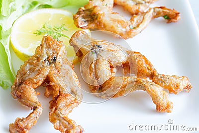 Fried frog legs on plate food concept Stock Photo