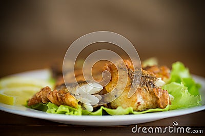 Fried hake fish in batter with lettuce and lemon in a plate Stock Photo