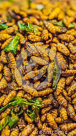 Fried insects, Bugs fried on Street food in thailand VERTICAL FORMAT for Instagram mobile story or stories size. Mobile Stock Photo