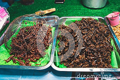 Fried Insects - crickets, locusts and grasshoppers on a vendor stall Stock Photo