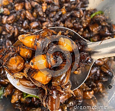 Fried insects, protein food, street food, snacks, grasshoppers, worms, quick water, Stock Photo