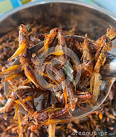 Fried insects, protein food, street food, snacks, grasshoppers, worms, quick water Stock Photo