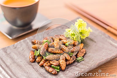 Fried insects Stock Photo