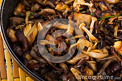 Fried mushrooms is tasty dish Stock Photo