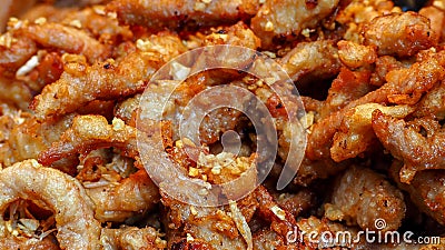 Fried pork with garlic fried. Asian food. Thai cuisine. Closeup dried chopped pork fried. Breakfast or lunch appetizer food Stock Photo