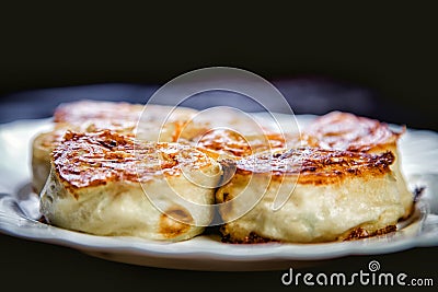 Fried rolls of pita and chicken breast Stock Photo