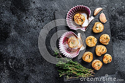 Fried seafood scallops meat with butter in a shells. Black background. Top view. Copy space Stock Photo