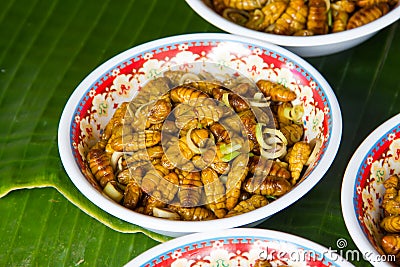 Fried silk worm is the food of the natives. Stock Photo
