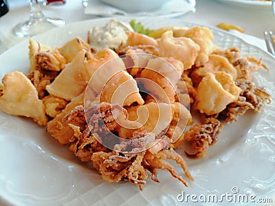 Fried squids, calamari on white plate with tartar sauce Stock Photo