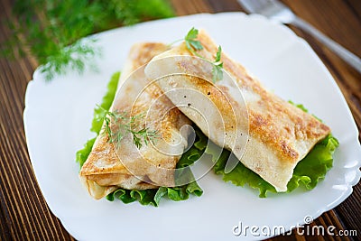 Fried stuffed spring rolls on a plate Stock Photo
