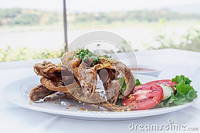 Fried whisker Sheatfish Stock Photo