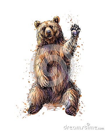 Friendly brown bear sitting and waving a paw from a splash of watercolor Vector Illustration