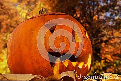 A friendly laughing Halloween pumpkin Stock Photo