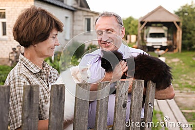 Friendly neighbors discuss their cats on the farm Stock Photo