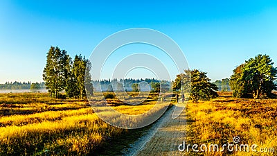 Friends biking through the Ermelose Heide Stock Photo